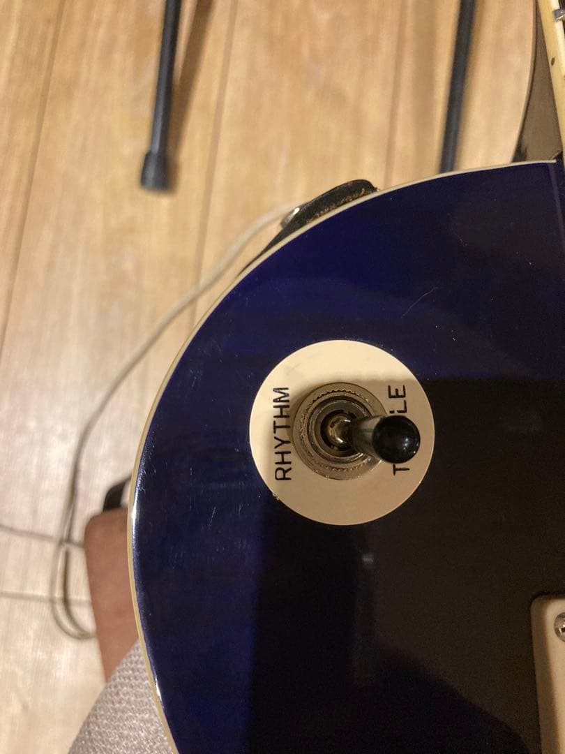 Epiphone les paul Standard レアカラー