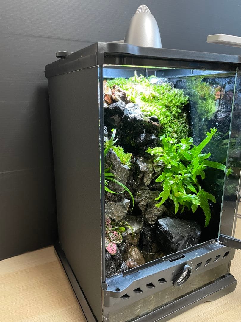 【完成品】2段の滝があるアクアテラリウム