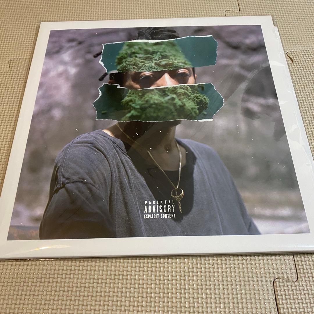 RUDEBWOY FACE / JAM DOWN [LP]レコード レゲエ