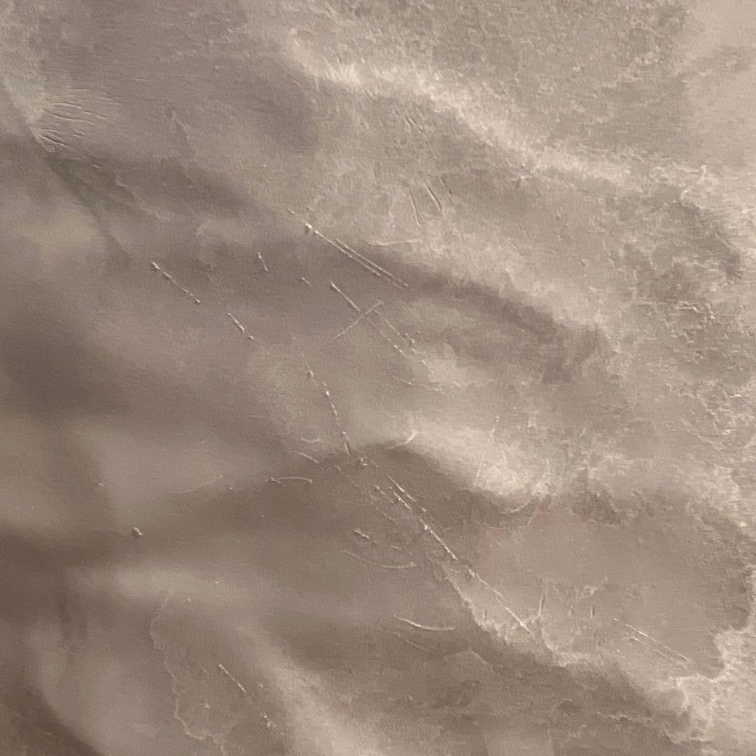 は*る様 【4枚】電子レンジ可ARAS 大皿ウェーブ 海水シリーズ　エイラス