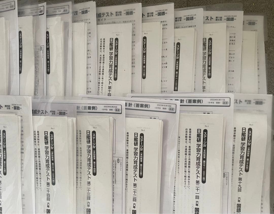 日能研 6年 学習力育成 合格力育成 合格力実践 テストほか 1年分