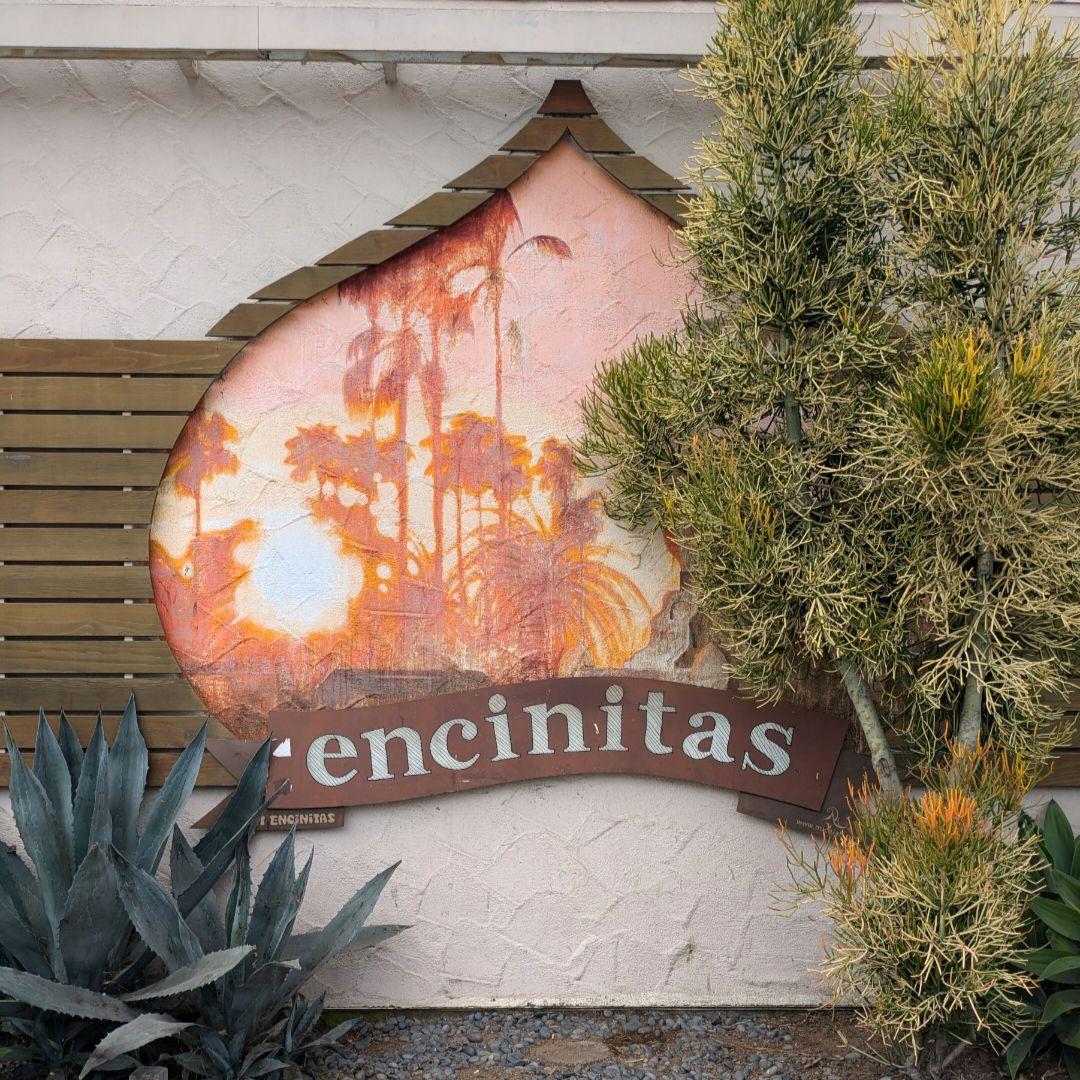 新品 スコッティ キャメロン マーカー ティファニーカラー パター カバー