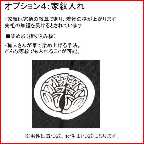 七五三 五歳 男児 羽織袴フルセット 紫地 兜 菊 袴変更可能 NO38747