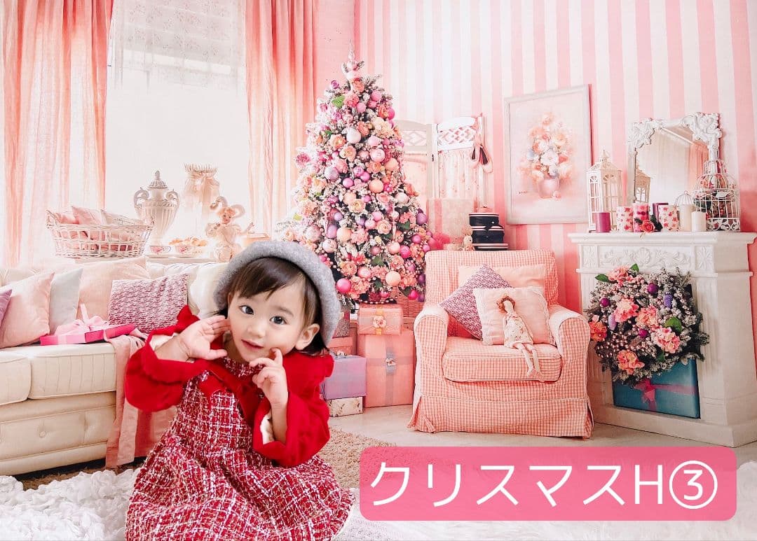 業務用　2026年お正月トリミングチョーカー+背景布×3　ペット、犬撮影用ブース