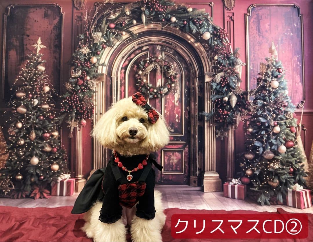 業務用　2026年お正月トリミングチョーカー+背景布×3　ペット、犬撮影用ブース