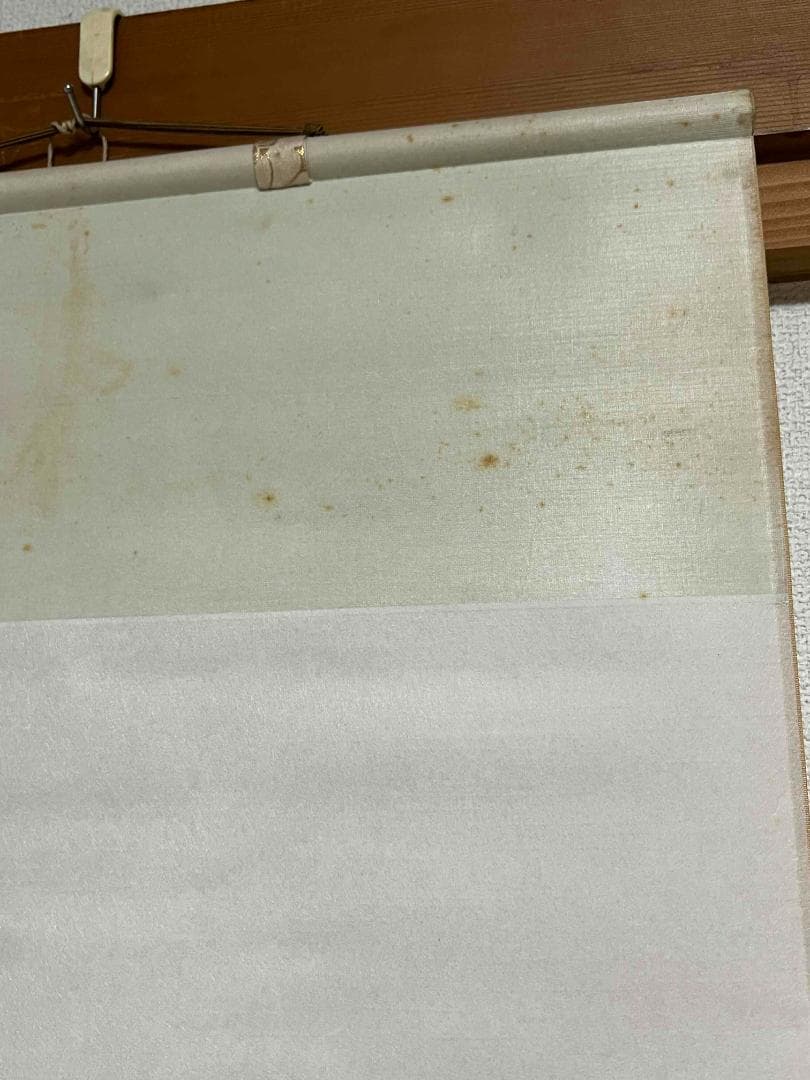 水墨絵画　掛け軸　肉筆逸品 清朝皇室ラスト・エンペラー愛新覚羅家皇族(S-8)