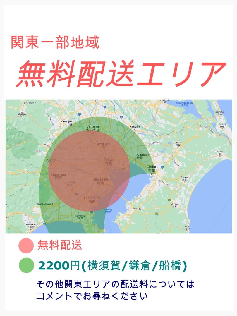超人気！BIKKE ビッケ8.9AH⭐️ブリヂストン子供乗せ電動自転車Y2260
