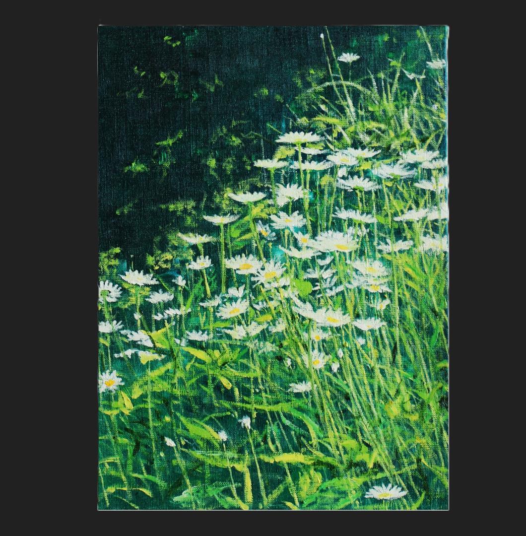 油彩画「マーガレットｄ」F4号(送料込み)