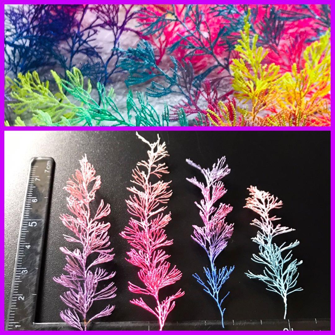 琉球*海花セール　カラフル エアファーン　0529-5