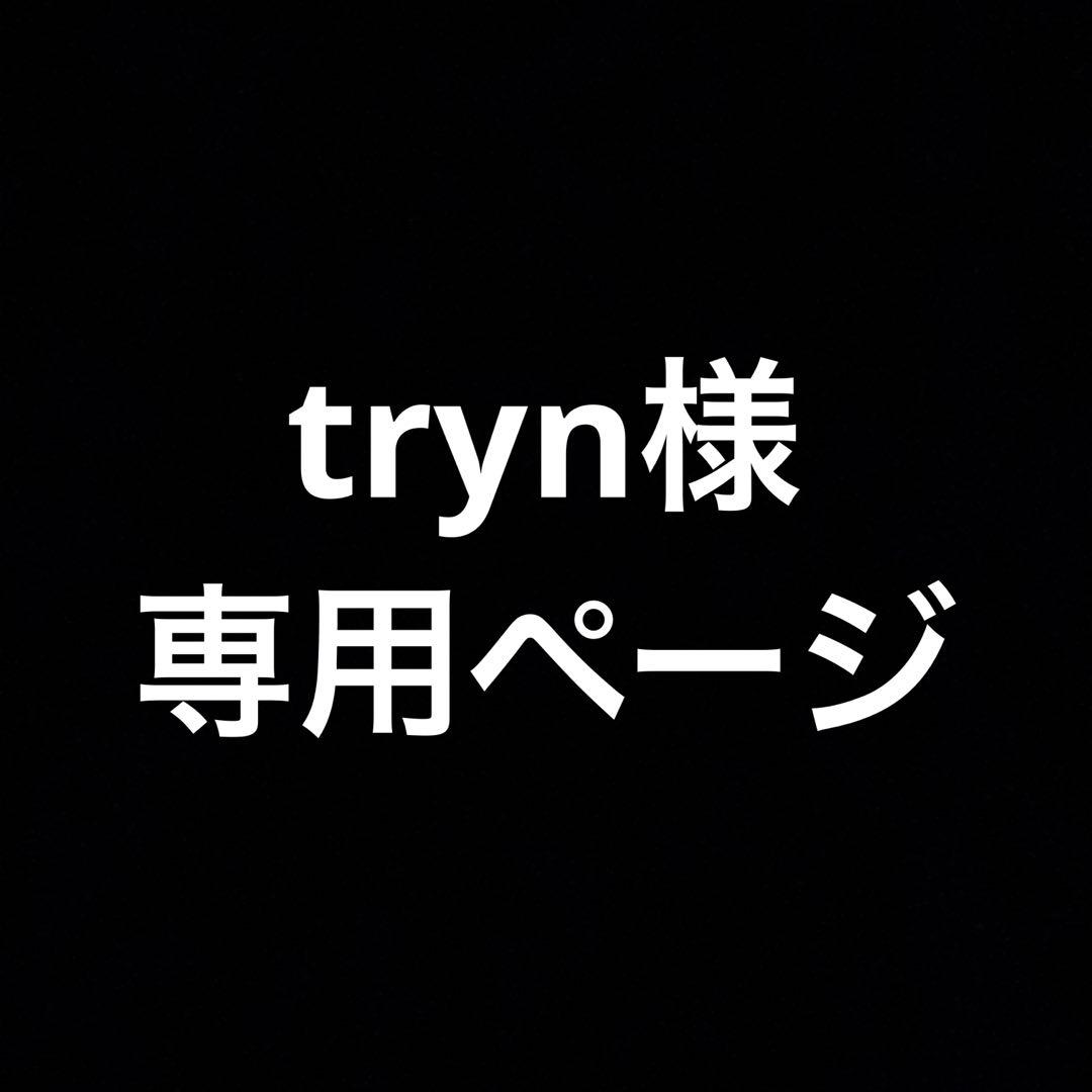 trynページ