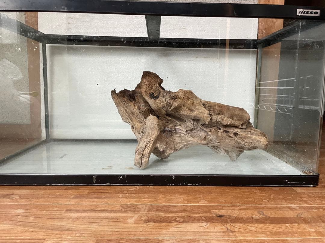 大型　☆アクアリウム　生花　テラリウム 爬虫類　天然流木 ホーンウッド　⭐︎