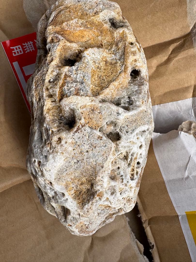 天然自然石 ジオード　水晶　自由研究