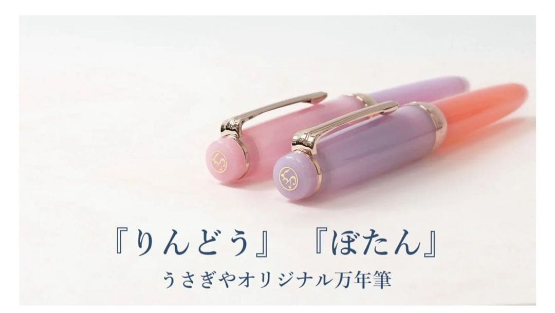 セーラー万年筆 うさぎやオリジナル万年筆 りんどう 14K F