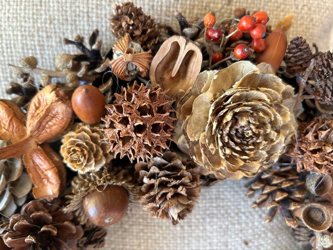 自然の恵み　木の実のリース　ハンドメイド　35センチ！！