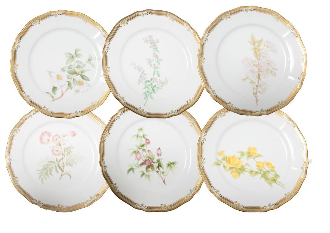 【Noritake ノリタケ】 6枚　GALA CONTESSA プレートセット