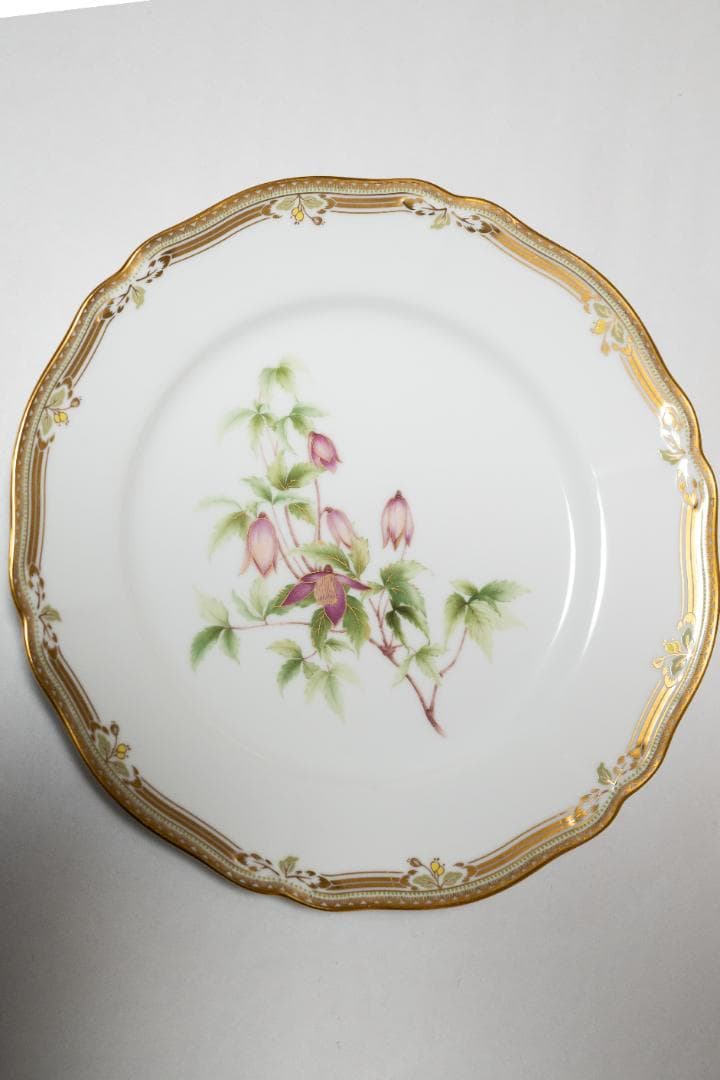 【Noritake ノリタケ】 6枚　GALA CONTESSA プレートセット