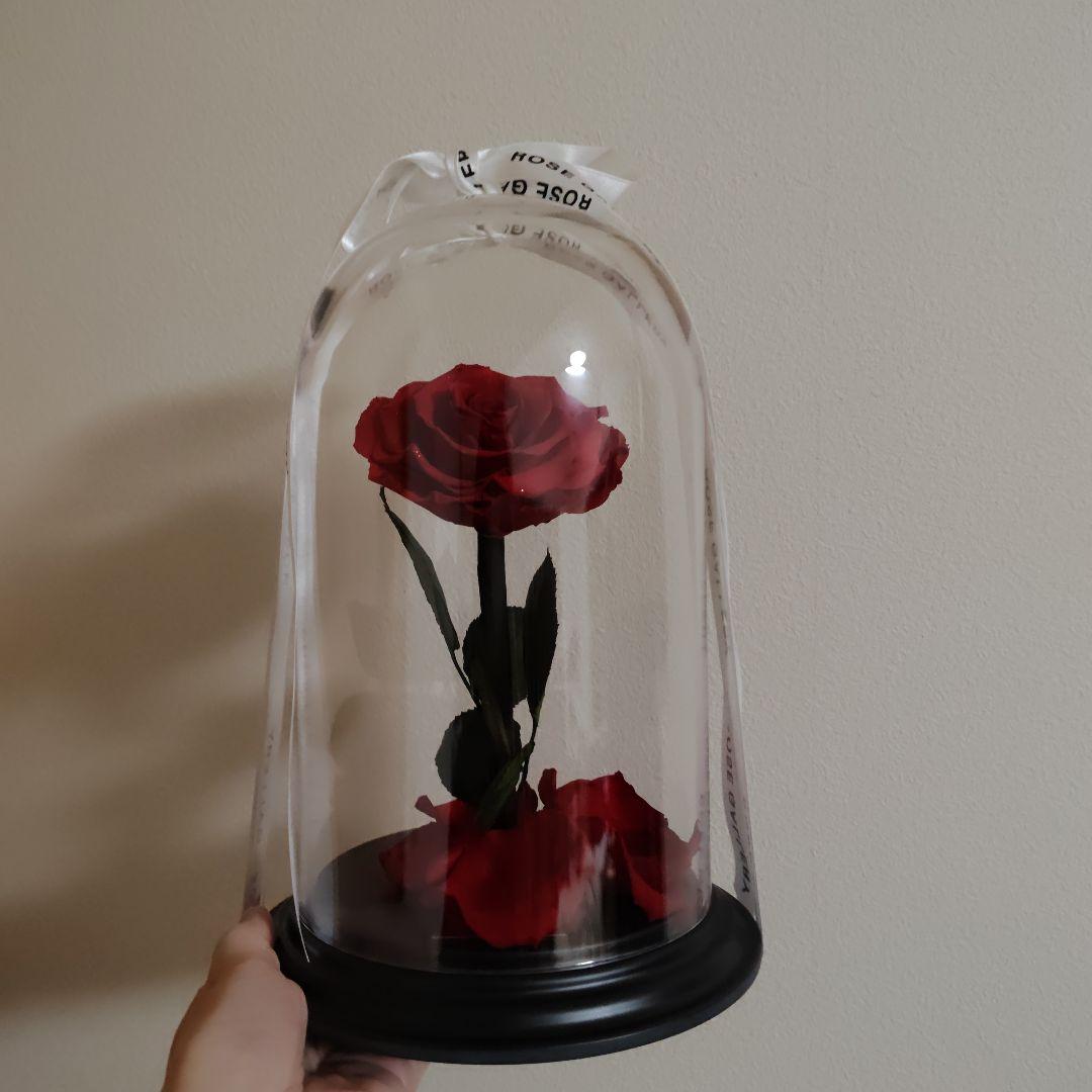 ローズギャラリー　ブリザードフラワー　バラ　薔薇