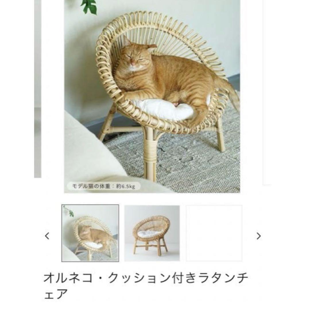 オルネコ　ラタンチェア 椅子　白クッション付き　猫ベッド　木製　キャットベッド