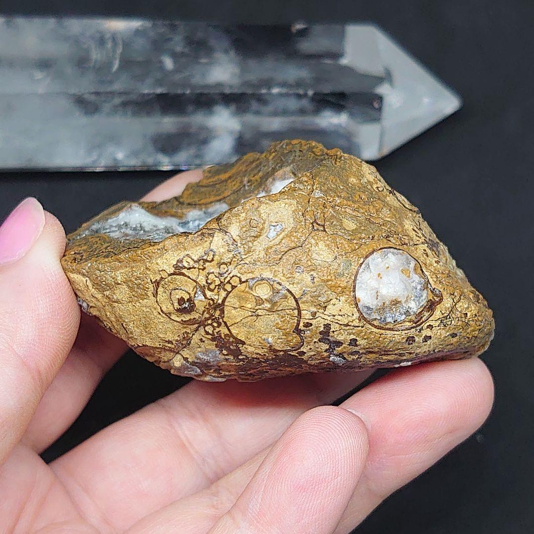 アラシャン金銭眼石 原石 天然小物入り 瑪瑙穴付き 置物 ゴビ瑪瑙 ゴビ石