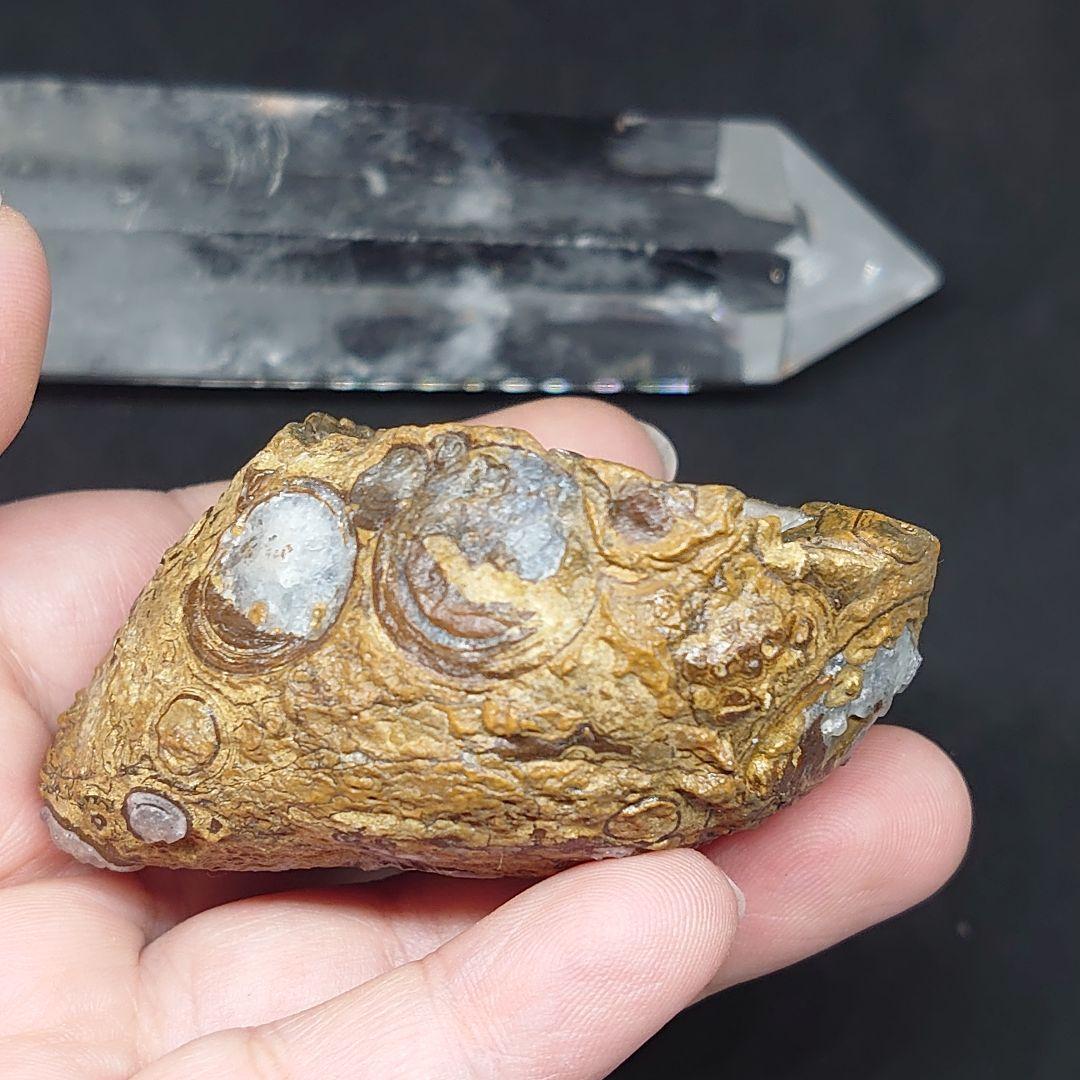 アラシャン金銭眼石 原石 天然小物入り 瑪瑙穴付き 置物 ゴビ瑪瑙 ゴビ石