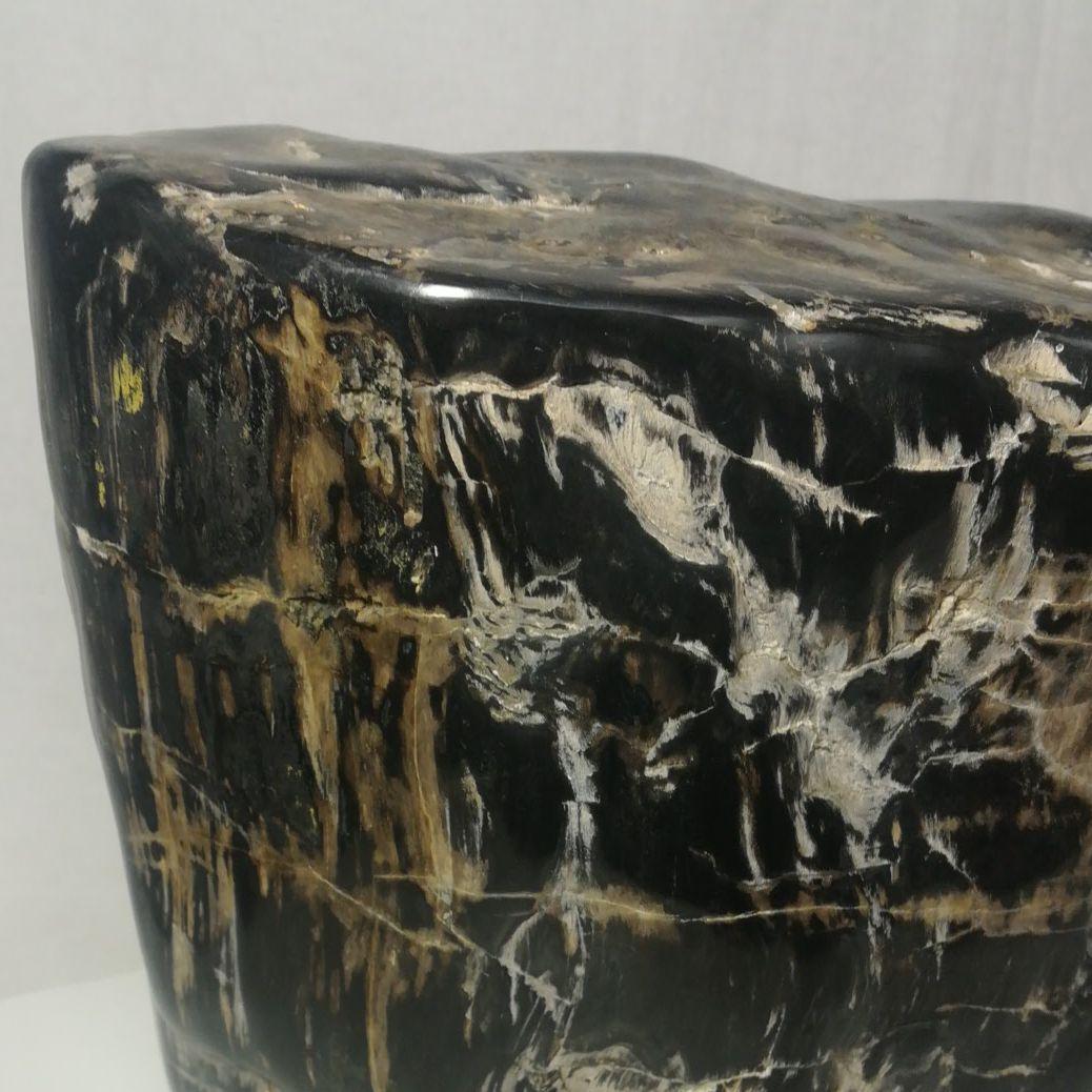 木化石　置物　鑑賞石　台座付