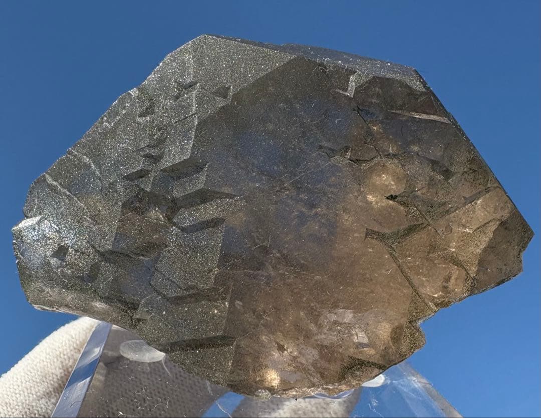 【匿名発送】フランス産スモーキーグインデル