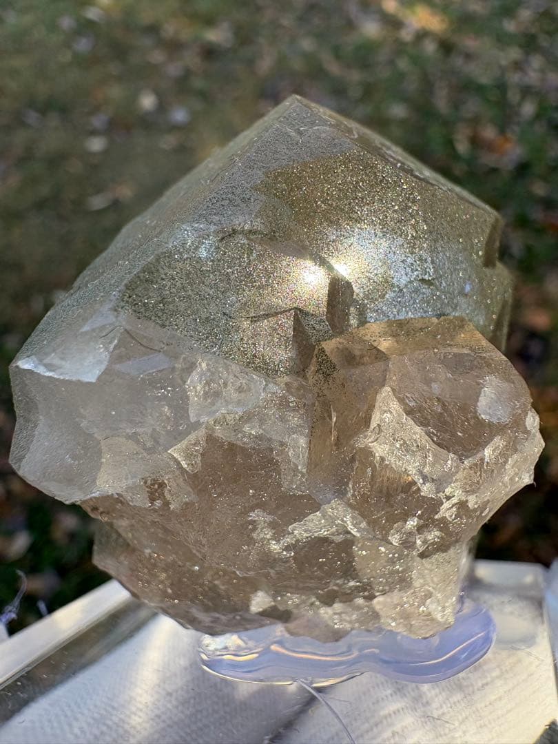 【匿名発送】フランス産スモーキーグインデル