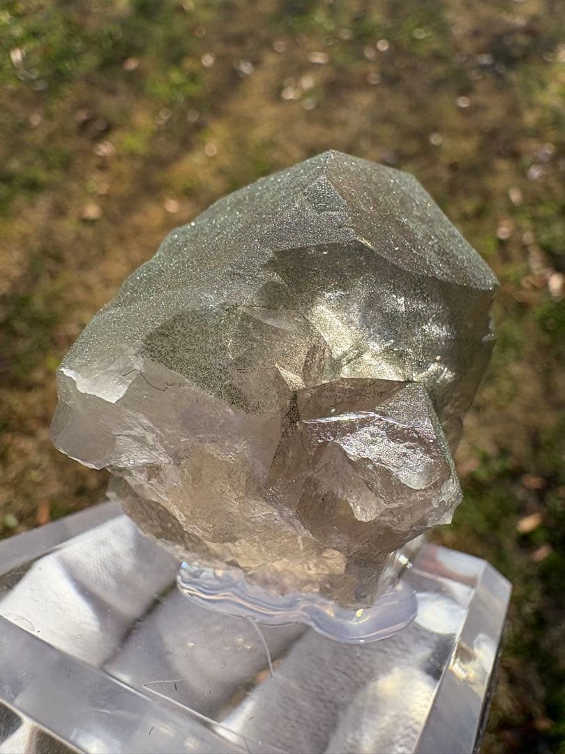 【匿名発送】フランス産スモーキーグインデル