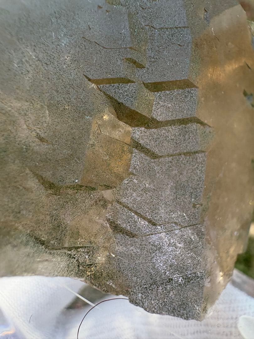 【匿名発送】フランス産スモーキーグインデル