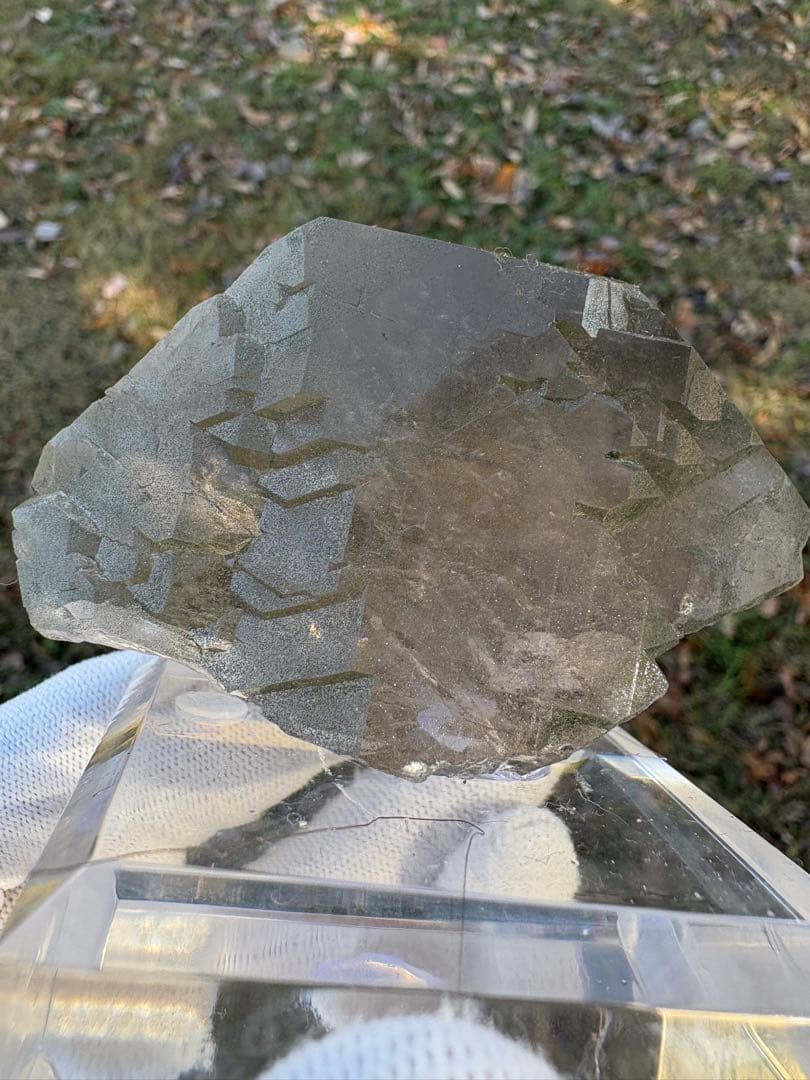 【匿名発送】フランス産スモーキーグインデル