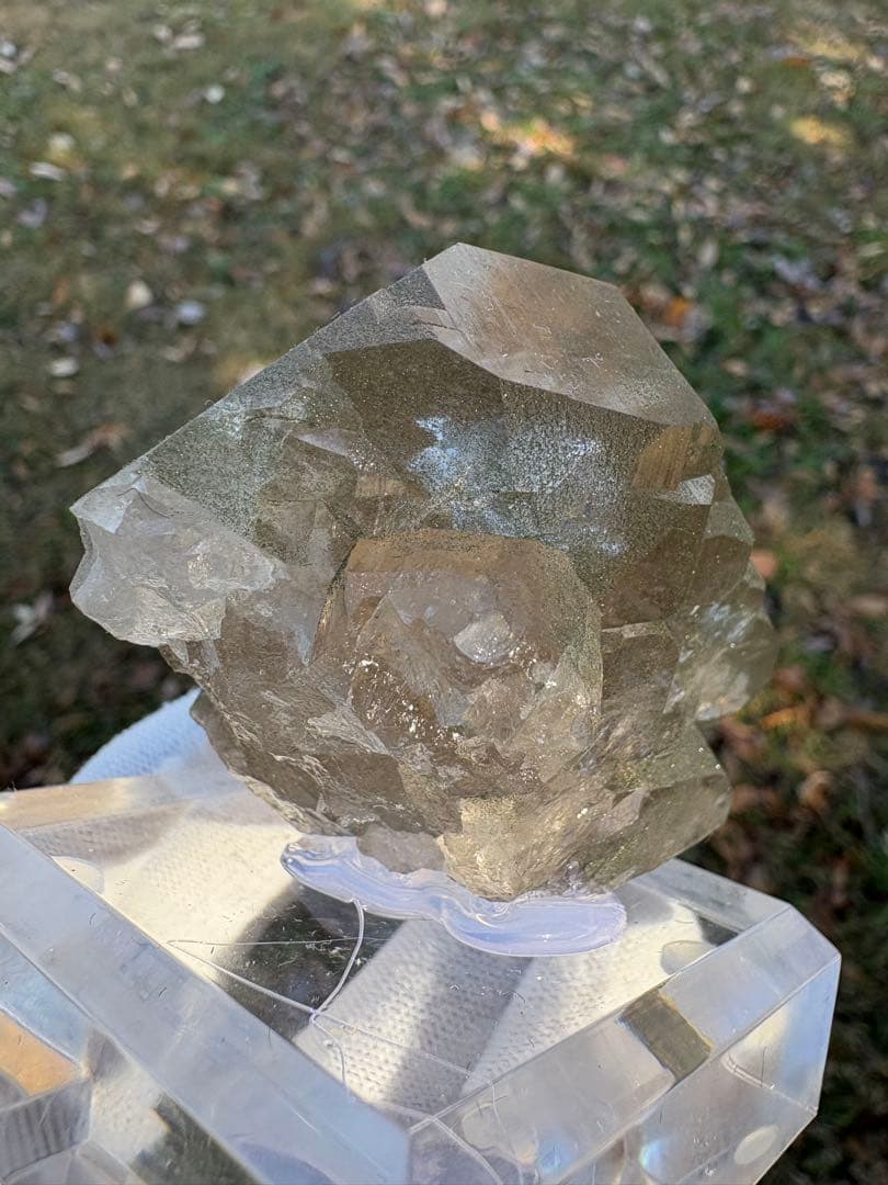 【匿名発送】フランス産スモーキーグインデル