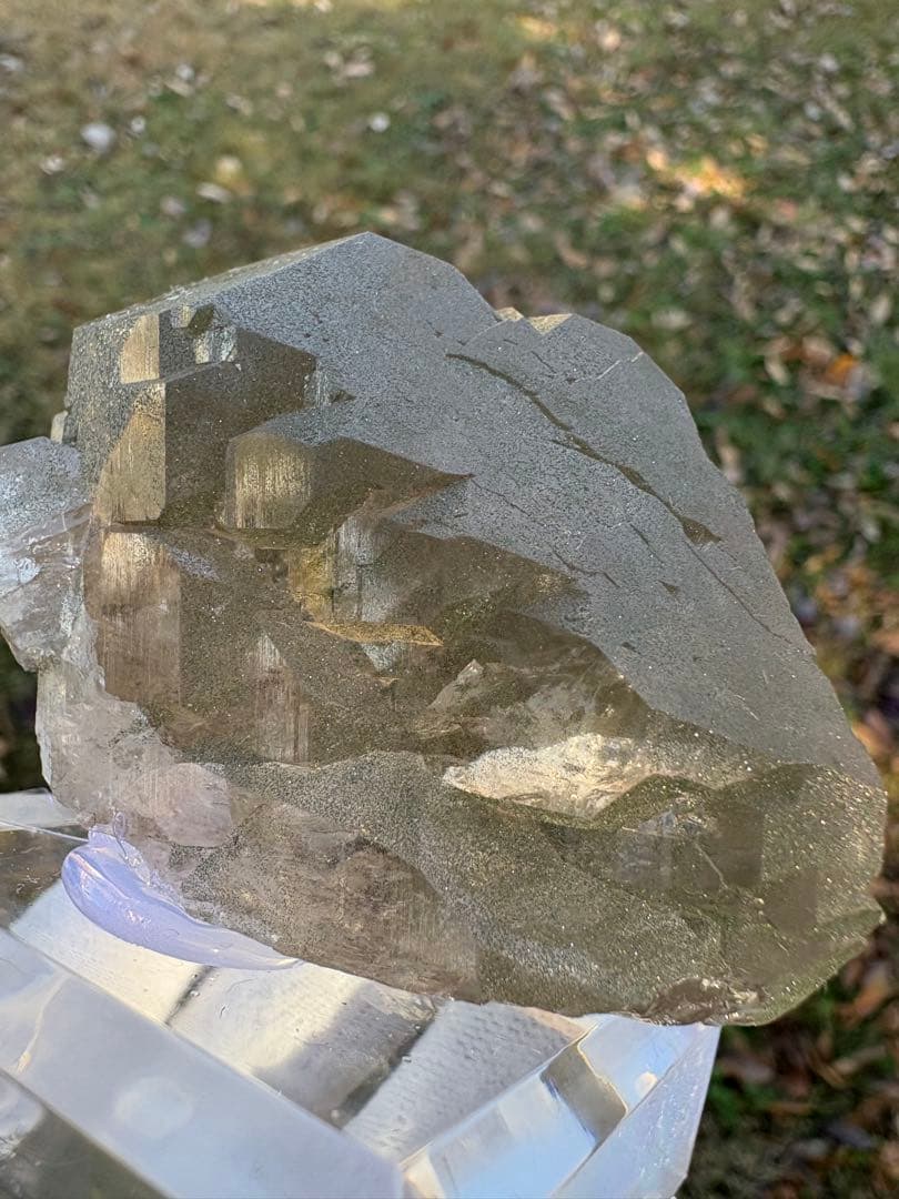 【匿名発送】フランス産スモーキーグインデル