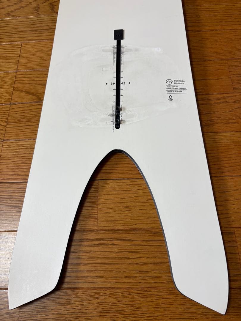 Burton Family Tree Forager バートン 2023