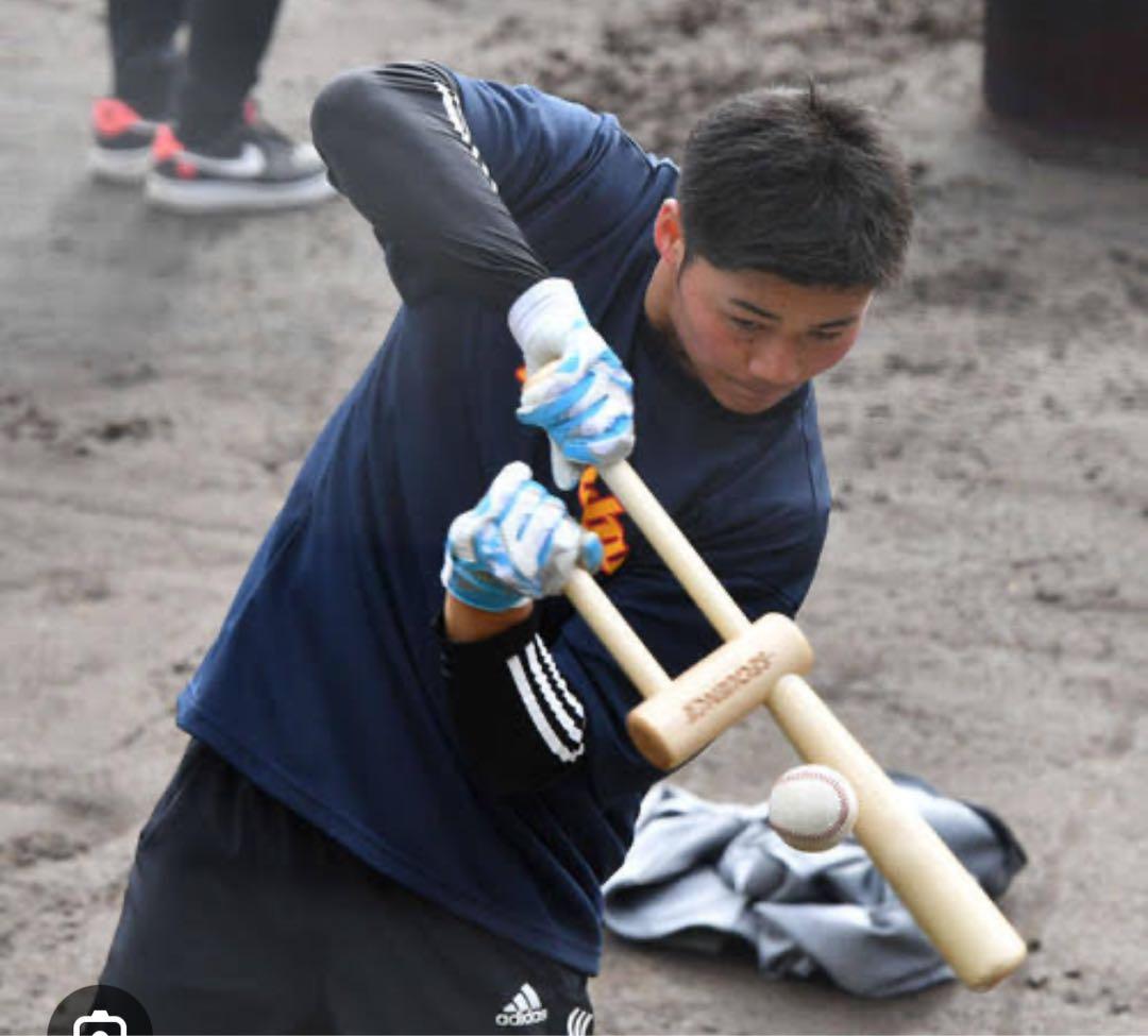 シークエンスバット（えっちゃん)