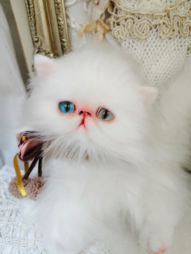 生後１か月♡オッドアイ♡エキゾチック子猫ちゃん♡アートドール♡ぬいぐるみ♡