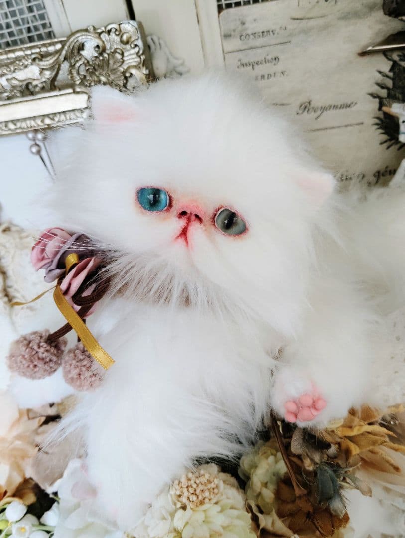 生後１か月♡オッドアイ♡エキゾチック子猫ちゃん♡アートドール♡ぬいぐるみ♡