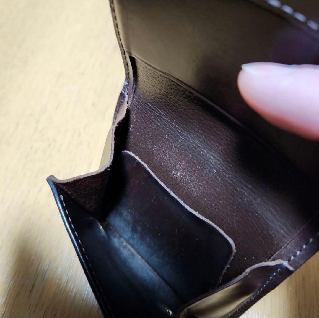 ワイルドスワンズ　クロコダイルパーム