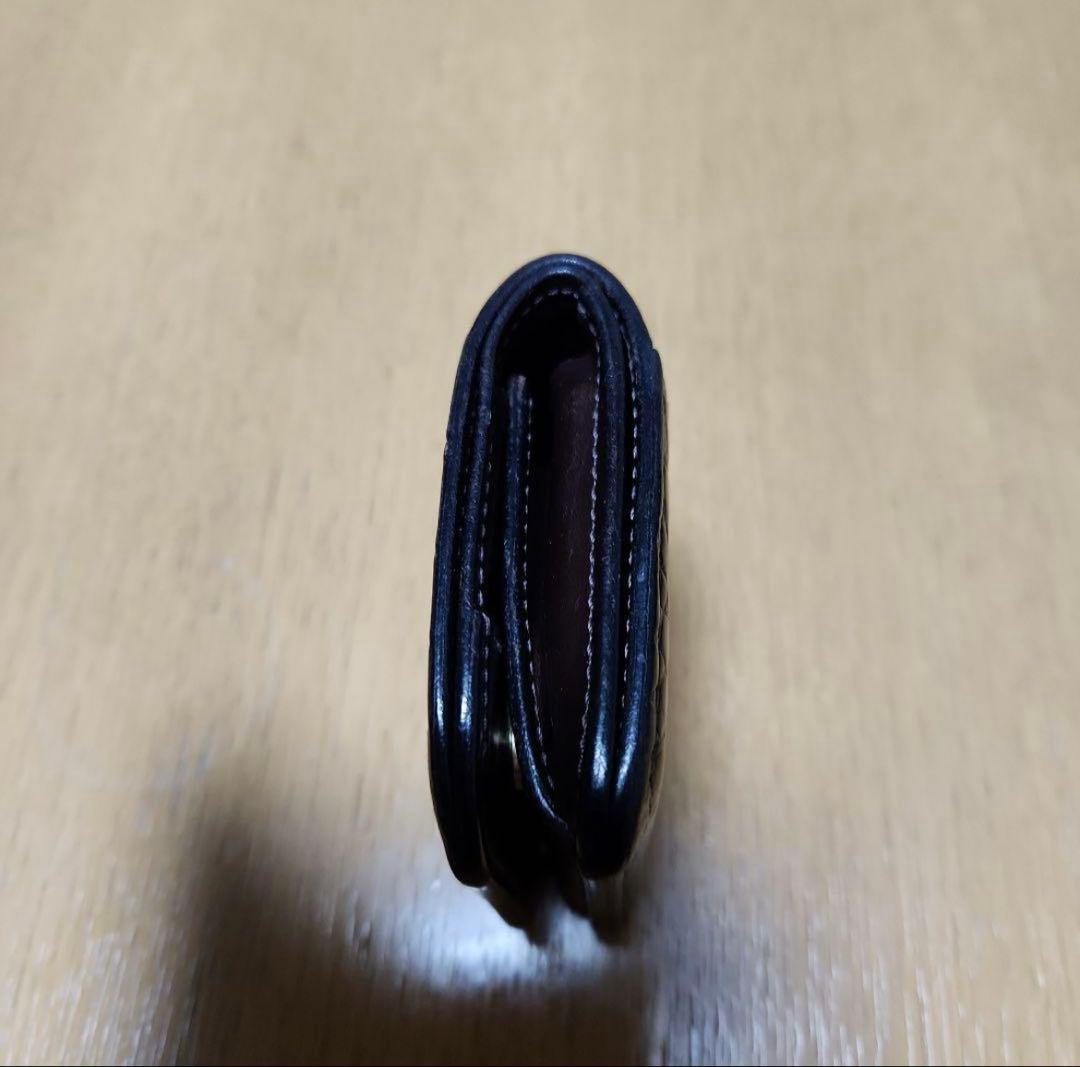 ワイルドスワンズ　クロコダイルパーム