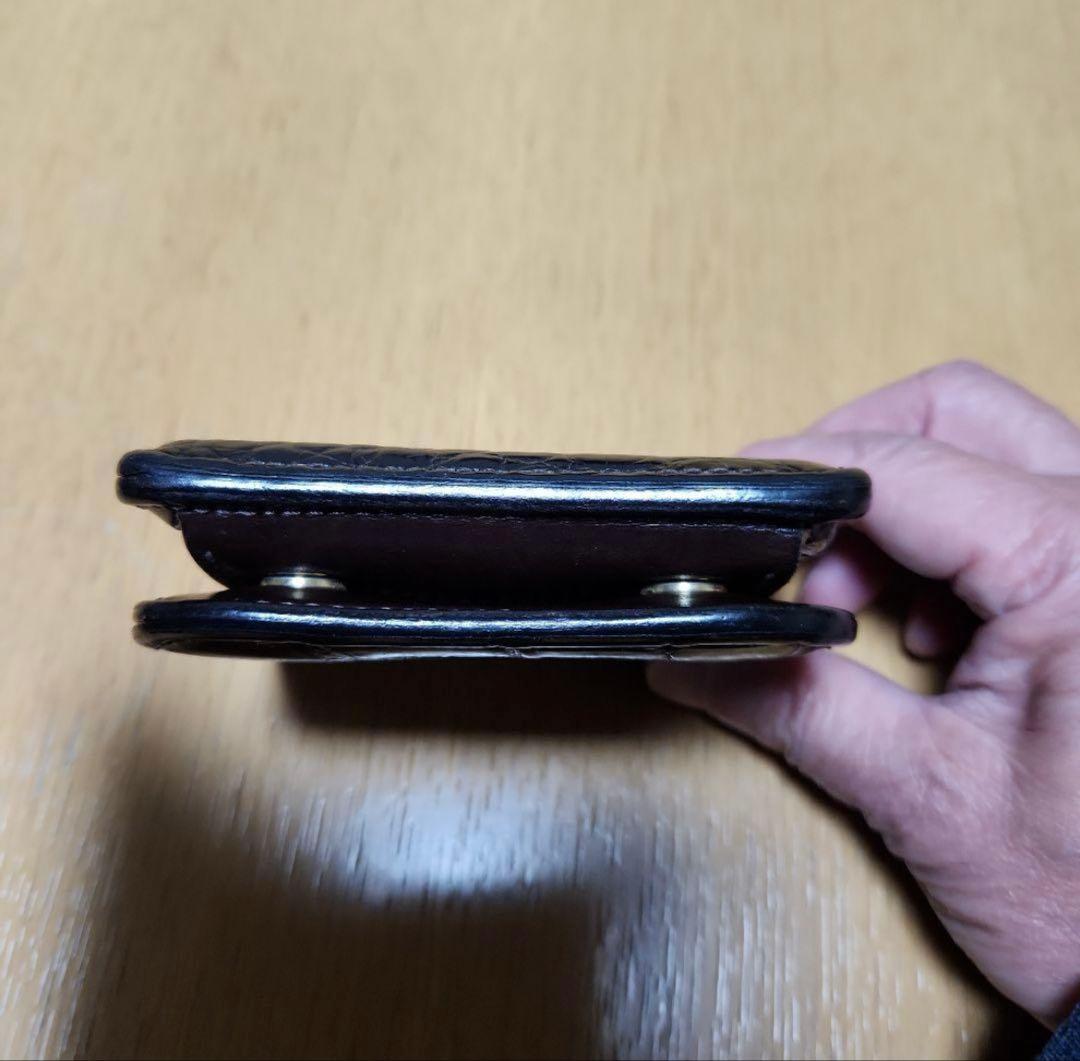 ワイルドスワンズ　クロコダイルパーム