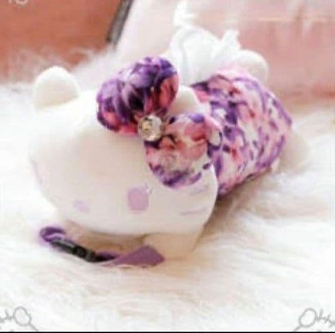 Rady キティちゃん