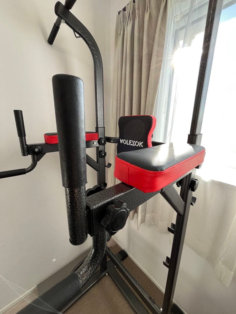 WOLEDOX 懸垂マシン