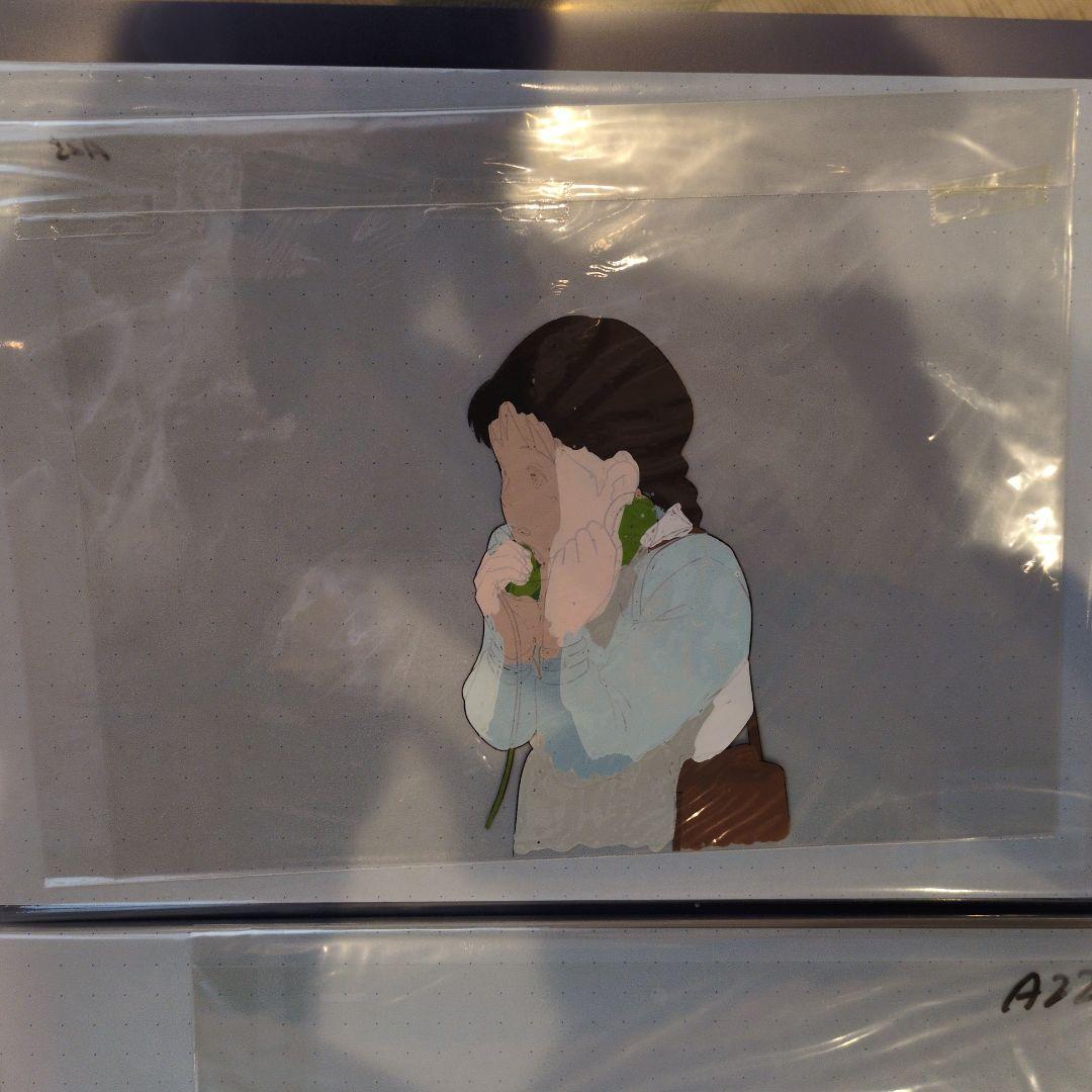 ①　海がきこえる　セル画　ジブリ