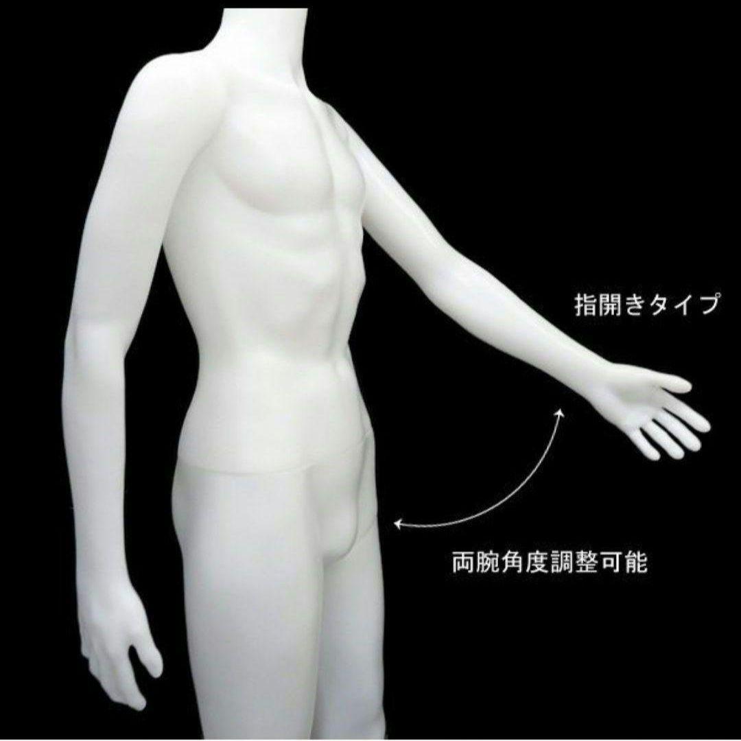 メンズ ヘッドレスマネキン 白1 男性 軽量 マッチョボディー 水洗い可