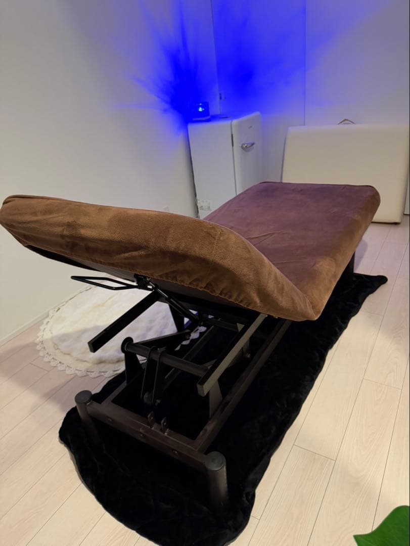 昇降型電動ベッド