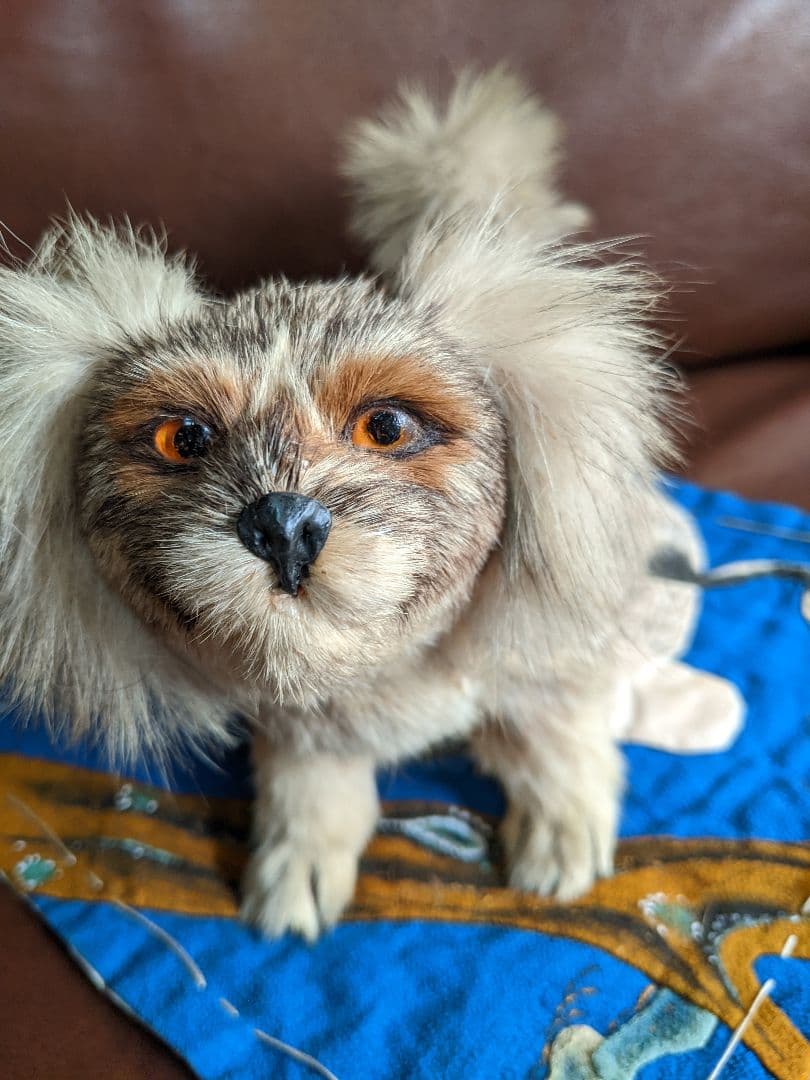 アンティーク・骨董　古い毛植え人形　朕・猫セット　検)市松人形・雛人形