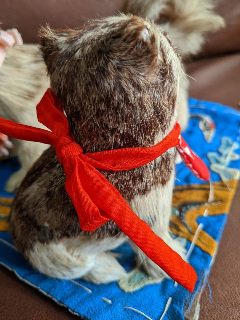 アンティーク・骨董　古い毛植え人形　朕・猫セット　検)市松人形・雛人形