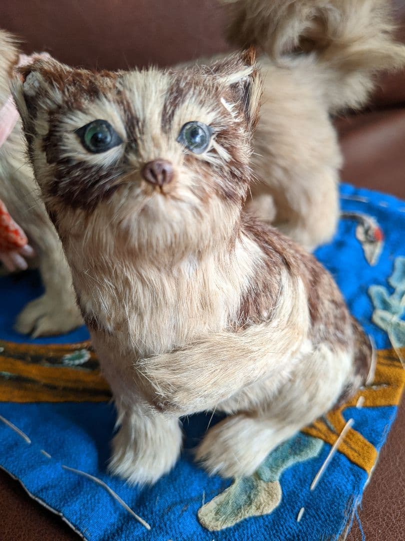 アンティーク・骨董　古い毛植え人形　朕・猫セット　検)市松人形・雛人形