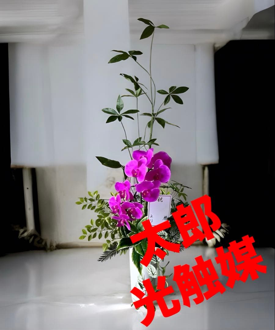 光触媒　人工観葉植物　ウォールグリーン　フェイクグリーン　リアル胡蝶蘭アレンジ!