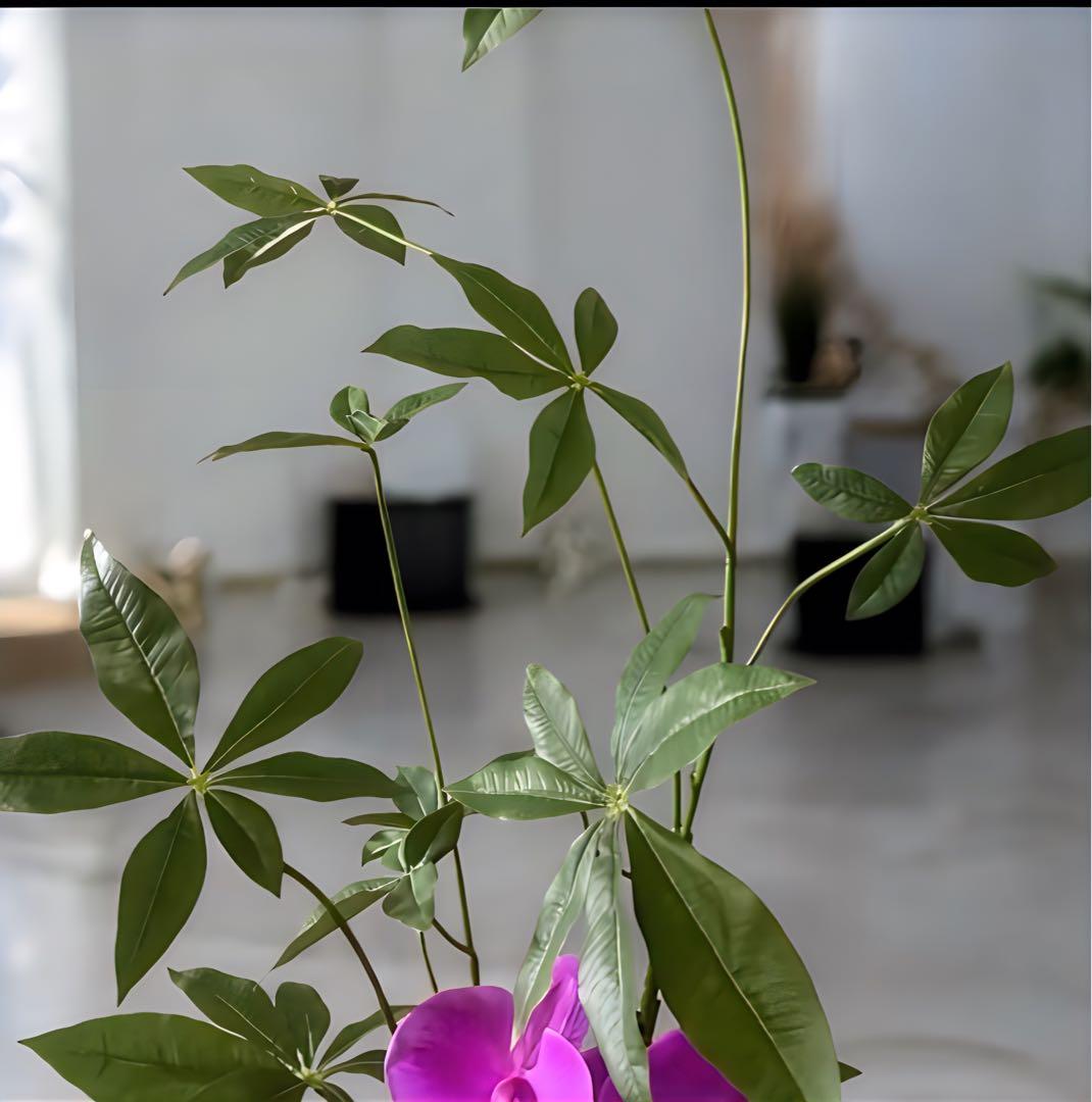 光触媒　人工観葉植物　ウォールグリーン　フェイクグリーン　リアル胡蝶蘭アレンジ!