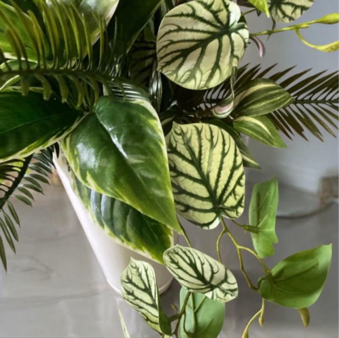 光触媒　人工観葉植物　ウォールグリーン　フェイクグリーン　リアル胡蝶蘭アレンジ!